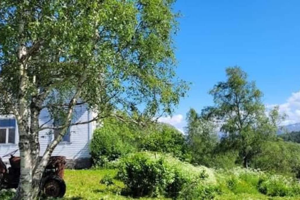 Skogan Apartamento Leirfjord Exterior foto