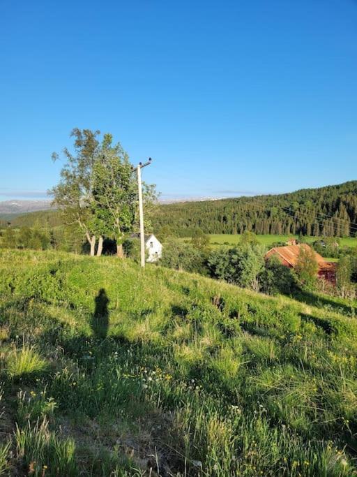 Skogan Apartamento Leirfjord Exterior foto