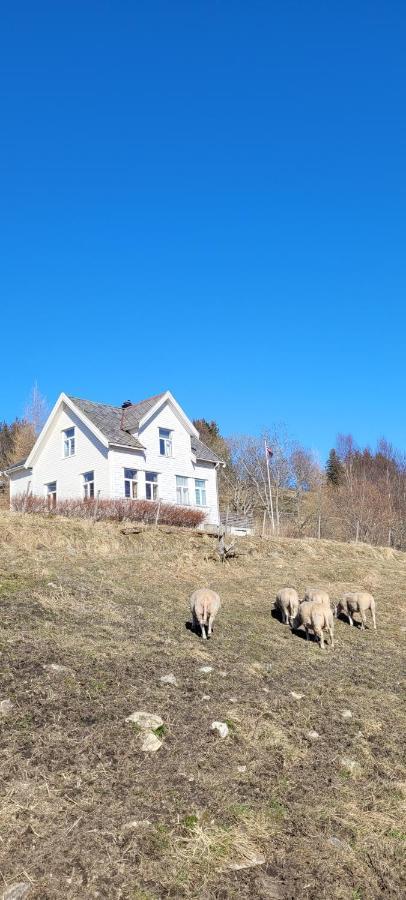 Skogan Apartamento Leirfjord Exterior foto